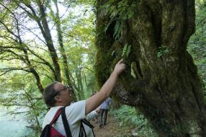 VodnikiBK8_P1000652 (Medium)